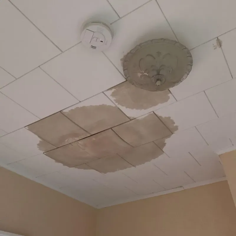 Ceiling Water Damage Repair in Weirton Heights, WV