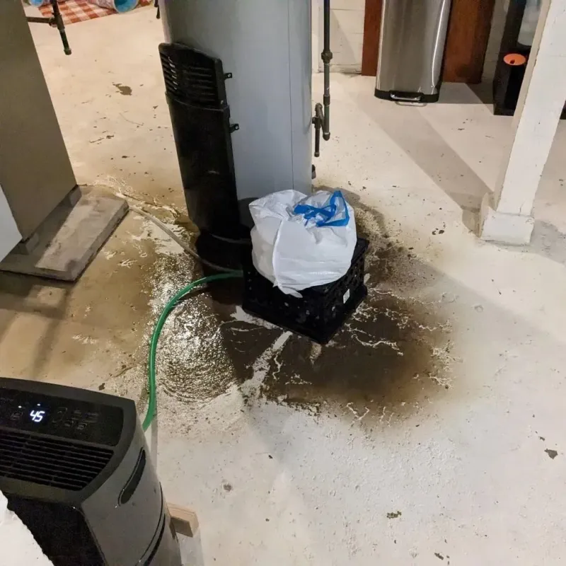 Sewage Backup Cleanup Service in Weirton Heights, WV